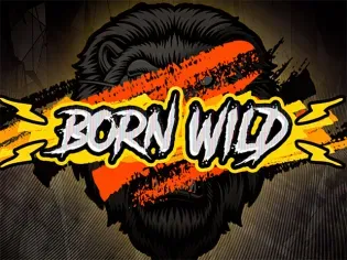 Born Wild game cover